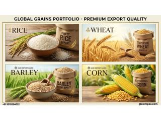 top-grains-exporter-in-india-for-bulk-orders-worldwide-small-0