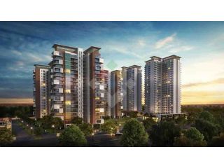 ace-starlit-noida-small-0