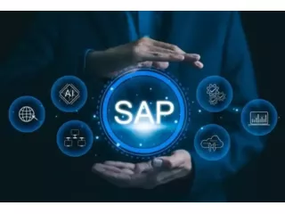 sap-development-company-small-0