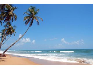 hotels-in-goa-near-beaches-for-family-trips-small-0