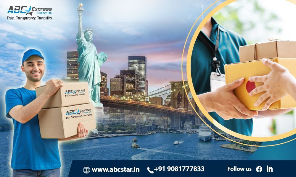 affordable-fast-courier-service-for-usa-from-india-big-0