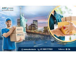 affordable-fast-courier-service-for-usa-from-india-small-0