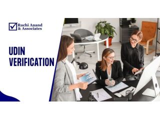 professional-udin-verification-support-in-india-small-0