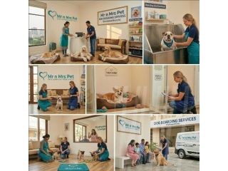 dog-boarding-services-in-faridabad-small-0