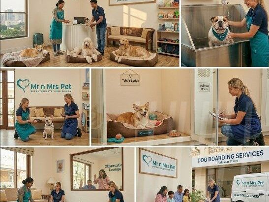 dog-boarding-services-in-faridabad