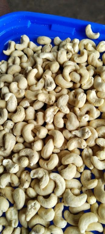w180-cashew-nuts-in-pune-mumbai-wholesaler-best-price-big-0