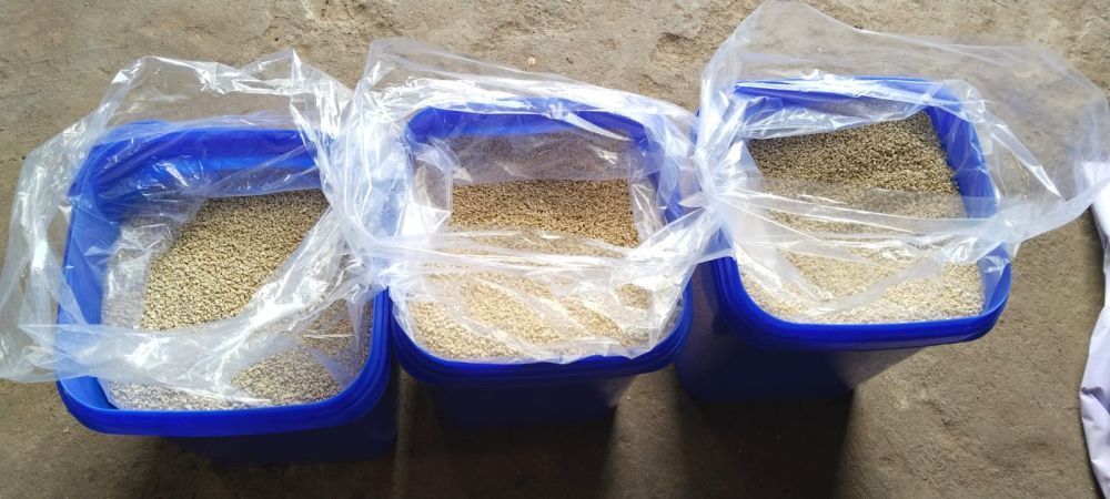 w180-cashew-nuts-in-pune-mumbai-wholesaler-best-price-big-3