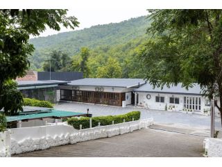 foresta-cafe-best-cafe-in-dehradun-for-food-ambience-small-0