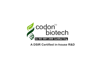 best-biotechnology-company-in-india-for-research-training-small-0
