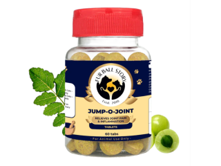 today-your-dogs-joints-finally-spoke-small-0