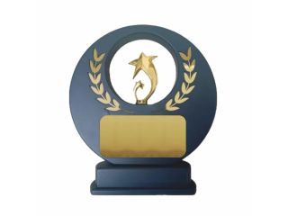 gold-star-achievement-award-small-0
