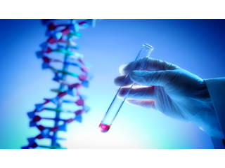 expert-pgt-testing-services-for-ivf-in-bareilly-care-small-0