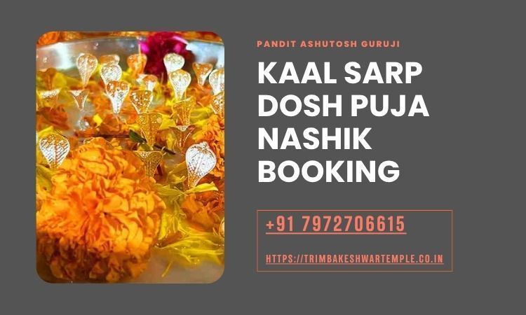kaal-sarp-dosh-puja-nashik-booking-big-0