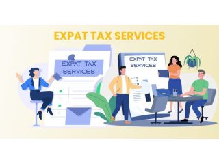 professional-expat-tax-advisory-for-hassle-free-compliance-small-0