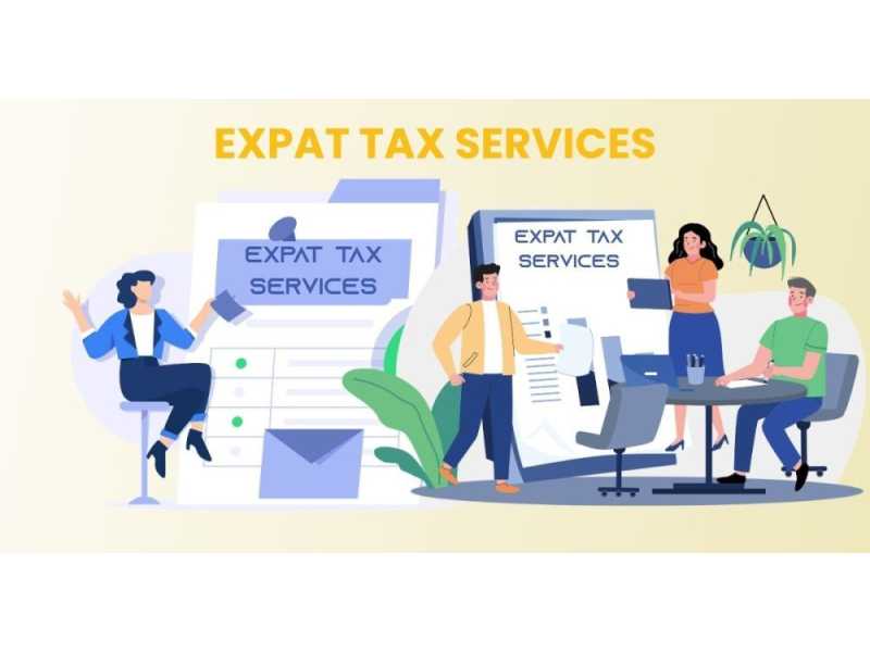 professional-expat-tax-advisory-small-0
