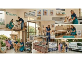pet-grooming-service-at-home-in-faridabad-small-0