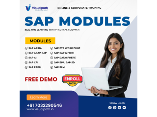 become-an-sap-expert-with-real-world-skills-small-0