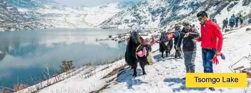 darjeeling-gangtok-package-tour-from-njp-perfect-escape-big-0