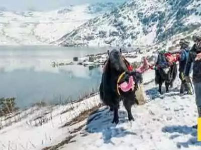 darjeeling-gangtok-package-tour-from-njp-perfect-escape