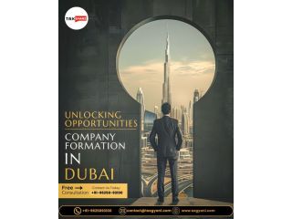 uae-business-setup-service-tax-gyani-small-0
