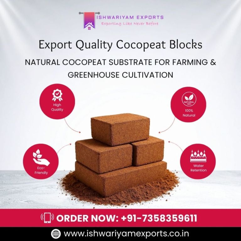 high-quality-cocopeat-blocks-manufacturer-for-export-in-chennai-big-0