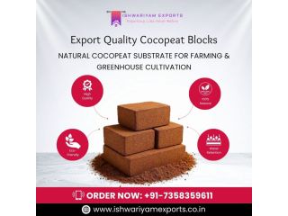 high-quality-cocopeat-blocks-manufacturer-for-export-in-chennai-small-0