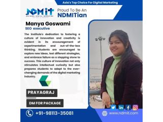 ai-driven-digital-marketing-course-in-prayagraj-ndmit-small-1