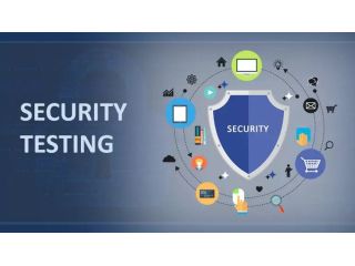 book-trusted-security-testing-services-for-complete-protection-small-0