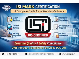 bis-isi-consultant-india-small-0