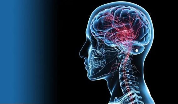 neurosciences-brain-spine-surgery-in-delhi-big-0