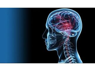 neurosciences-brain-spine-surgery-in-delhi-small-0