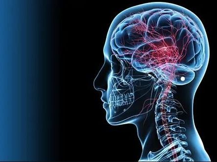 neurosciences-brain-spine-surgery-in-delhi