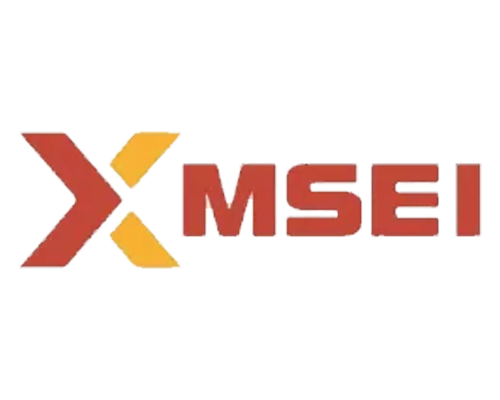 metropolitan-stock-exchange-share-price-today-update