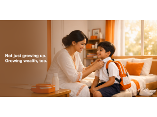 compare-msf-scheme-in-nps-options-online-small-0