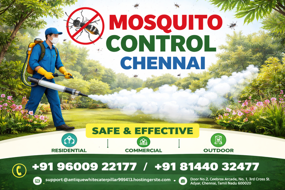 mosquito-control-chennai-pest-rid-naturals-big-0