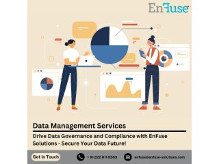 drive-data-governance-and-compliance-with-enfuse-solutions-small-0
