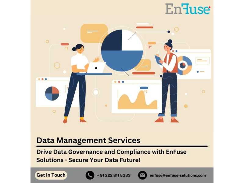 drive-data-governance-and-compliance-with-enfuse-solutions-small-0