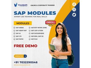 build-a-future-ready-sap-career-with-visualpath-now-small-0