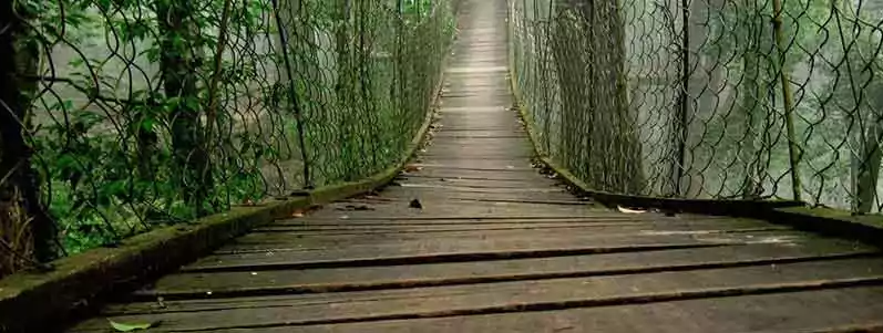 north-bengal-package-tour-perfect-holiday-for-nature-lovers-big-0