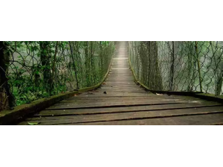 north-bengal-package-tour-perfect-holiday-for-nature-lovers-small-0