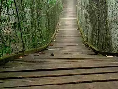 north-bengal-package-tour-perfect-holiday-for-nature-lovers