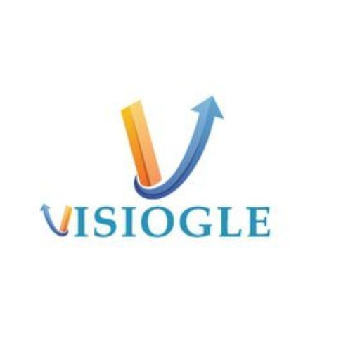 visiogle-expert-shopify-web-design-services-online-stores-big-0