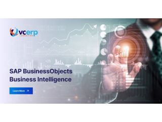 sap-businessobjects-bi-services-in-india-small-0