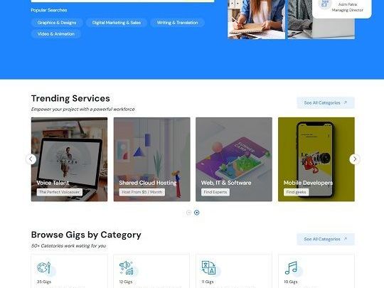 create-a-freelancer-platform-like-fiverr-or-upwork-today