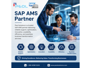 sap-ams-partner-in-bangalore-peol-solutions-small-0