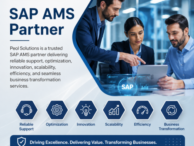 sap-ams-partner-in-bangalore-peol-solutions