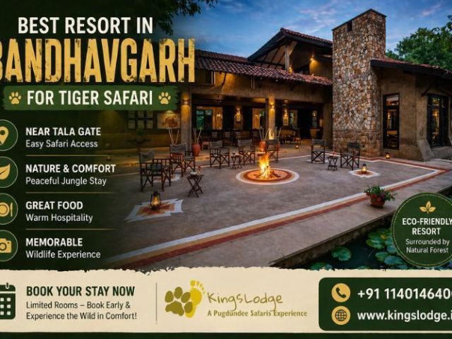 best-resort-in-bandhavgarh-for-tiger-safari