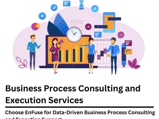enfuse-for-data-driven-business-process-consulting-services