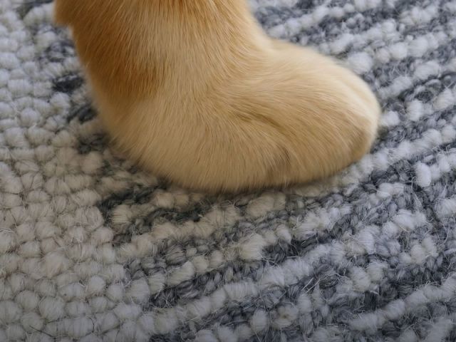 luxury-hand-knotted-rugs