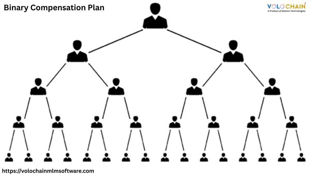 expand-company-with-binary-compensation-plan-mlm-software-big-0